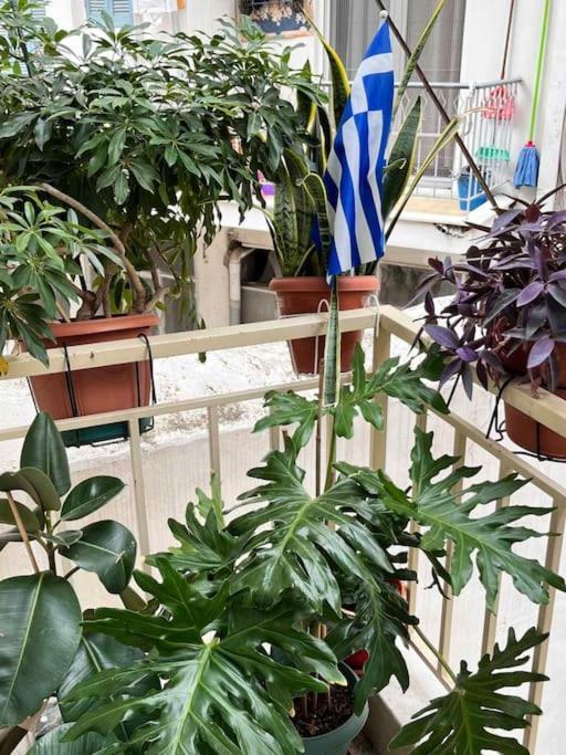 Apartmán Hristo's In *